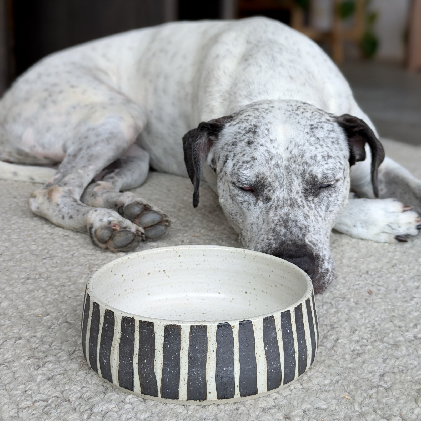 Stripe Ceramic Dog Bowl