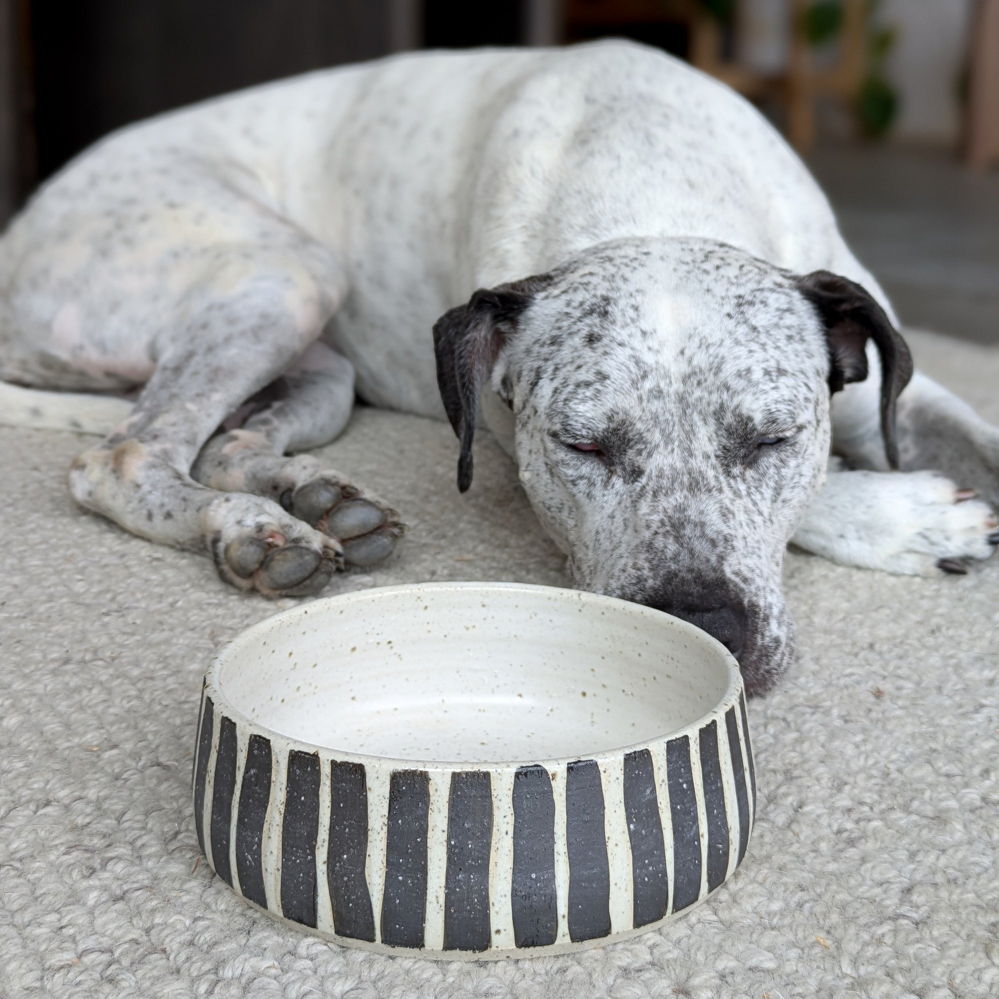 Stripe Ceramic Dog Bowl