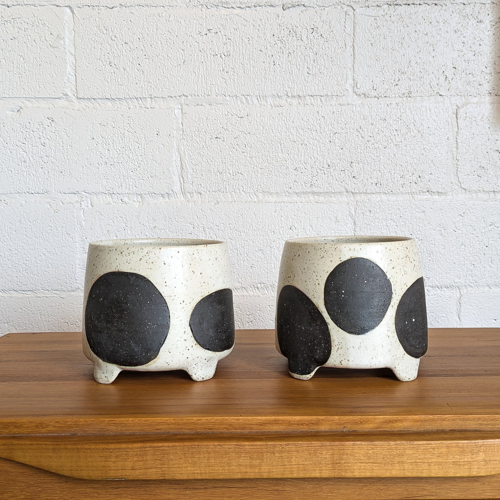 Ceramic Planters - Black + White
