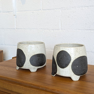 Ceramic Planters - Black + White